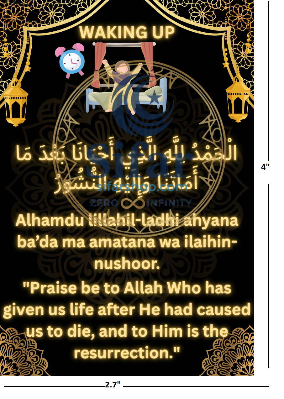 DUA MAGNETS (PACK OF 8)