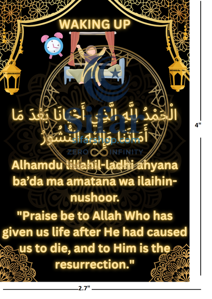 DUA MAGNETS (PACK OF 8)